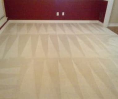 Move out carpet cleaning